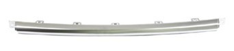 Bumper Cover Molding