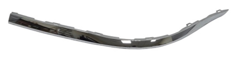 Bumper Cover Molding