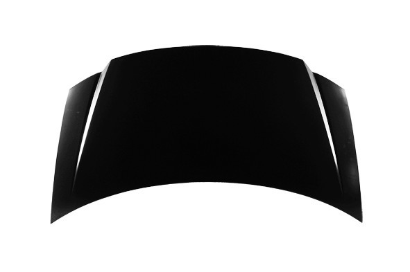 Hood Panel Assembly