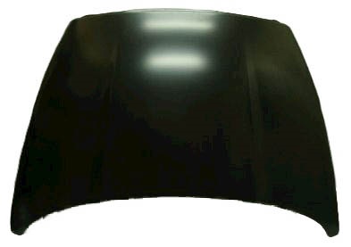 Hood Panel Assembly