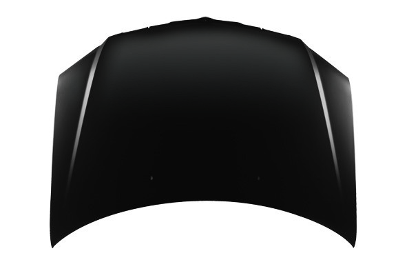 Hood Panel Assembly