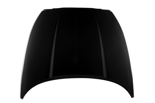 Hood Panel Assembly