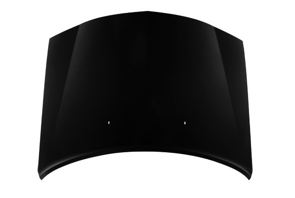 Hood Panel Assembly