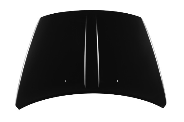 Hood Panel Assembly