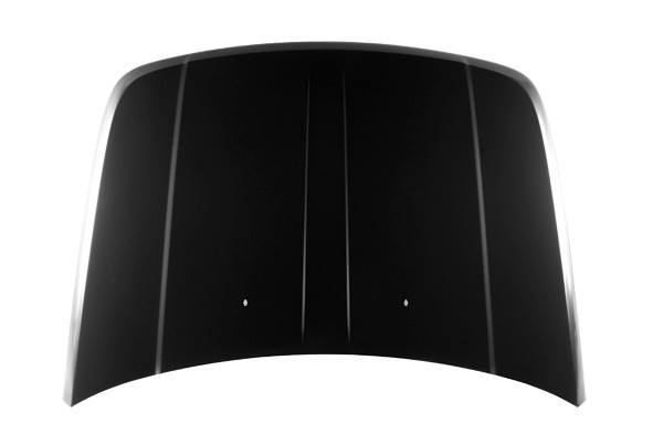 Hood Panel Assembly