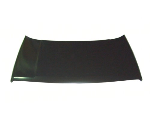 Hood Panel Assembly