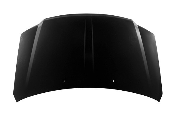 Hood Panel Assembly