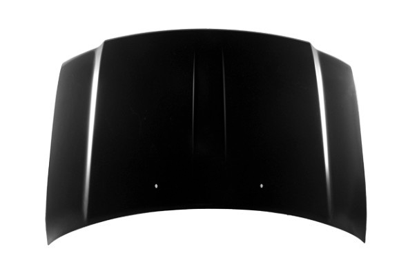 Hood Panel Assembly