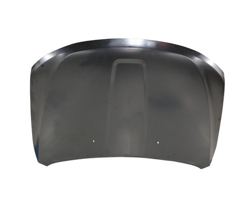 Hood Panel Assembly