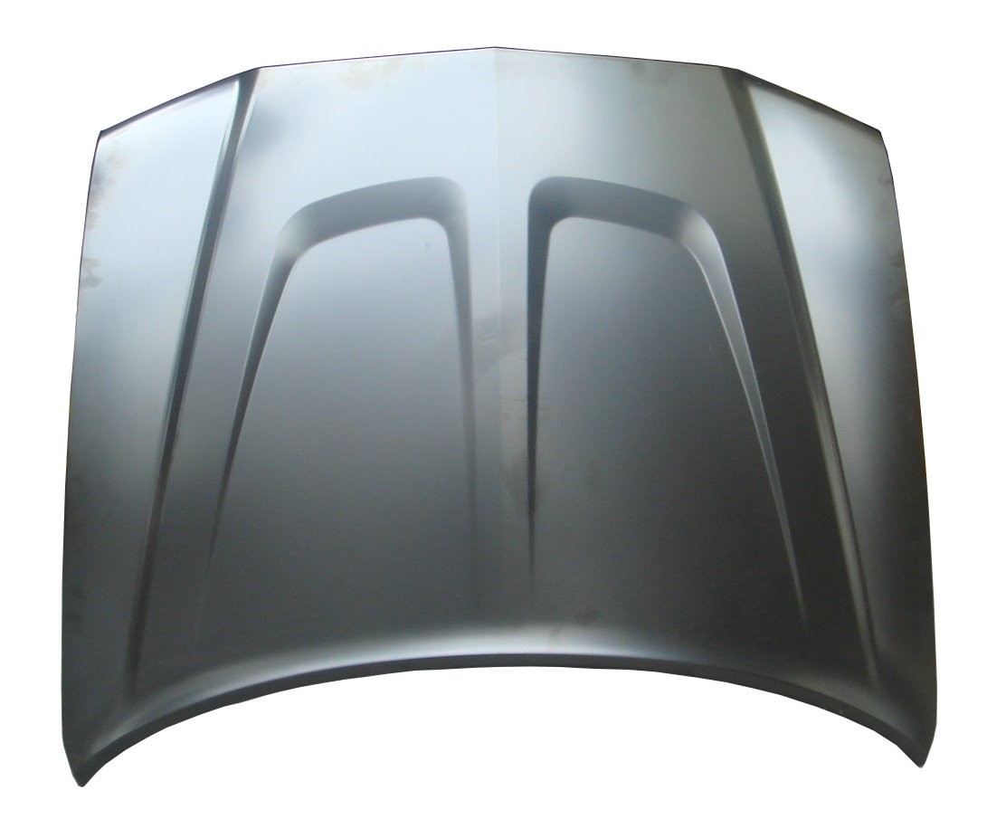 Hood Panel Assembly