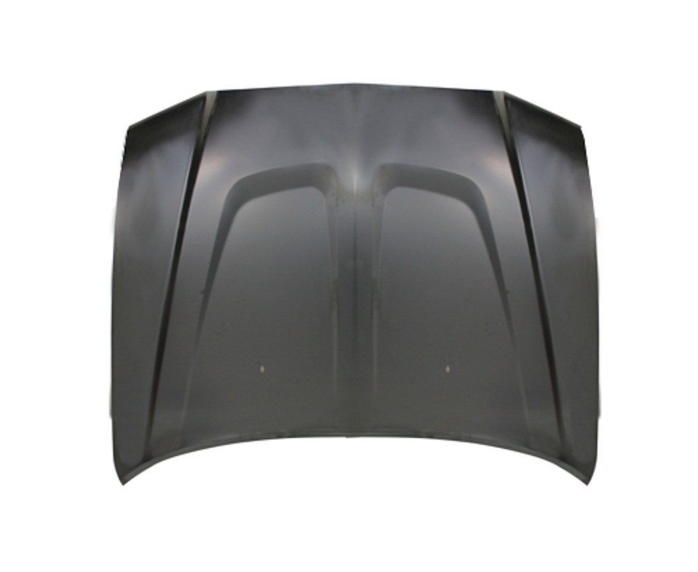 Hood Panel Assembly