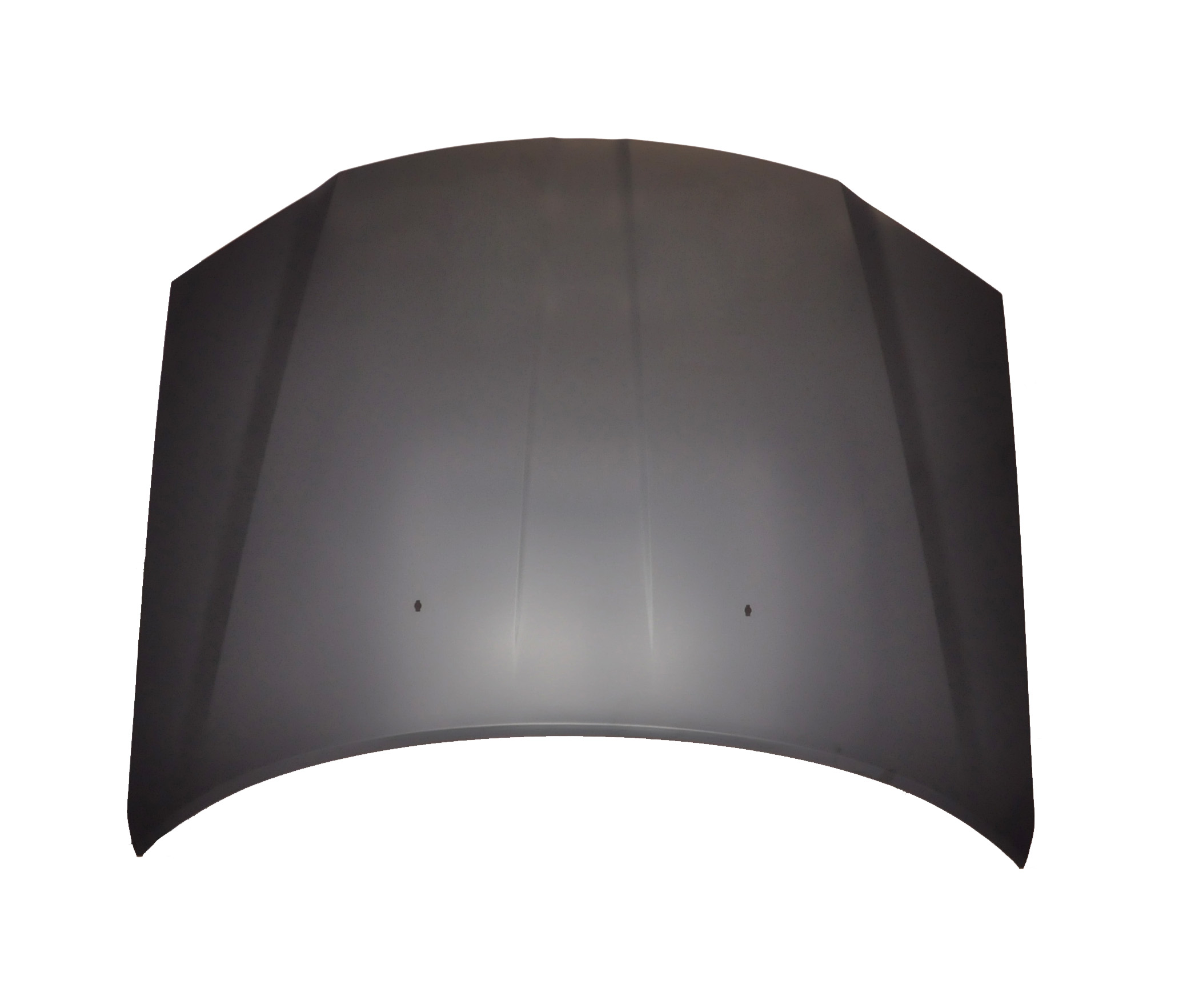 Hood Panel Assembly