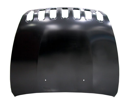 Hood Panel Assembly