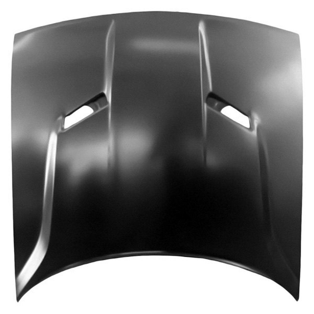 Hood Panel Assembly