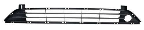 Bumper Cover Grille