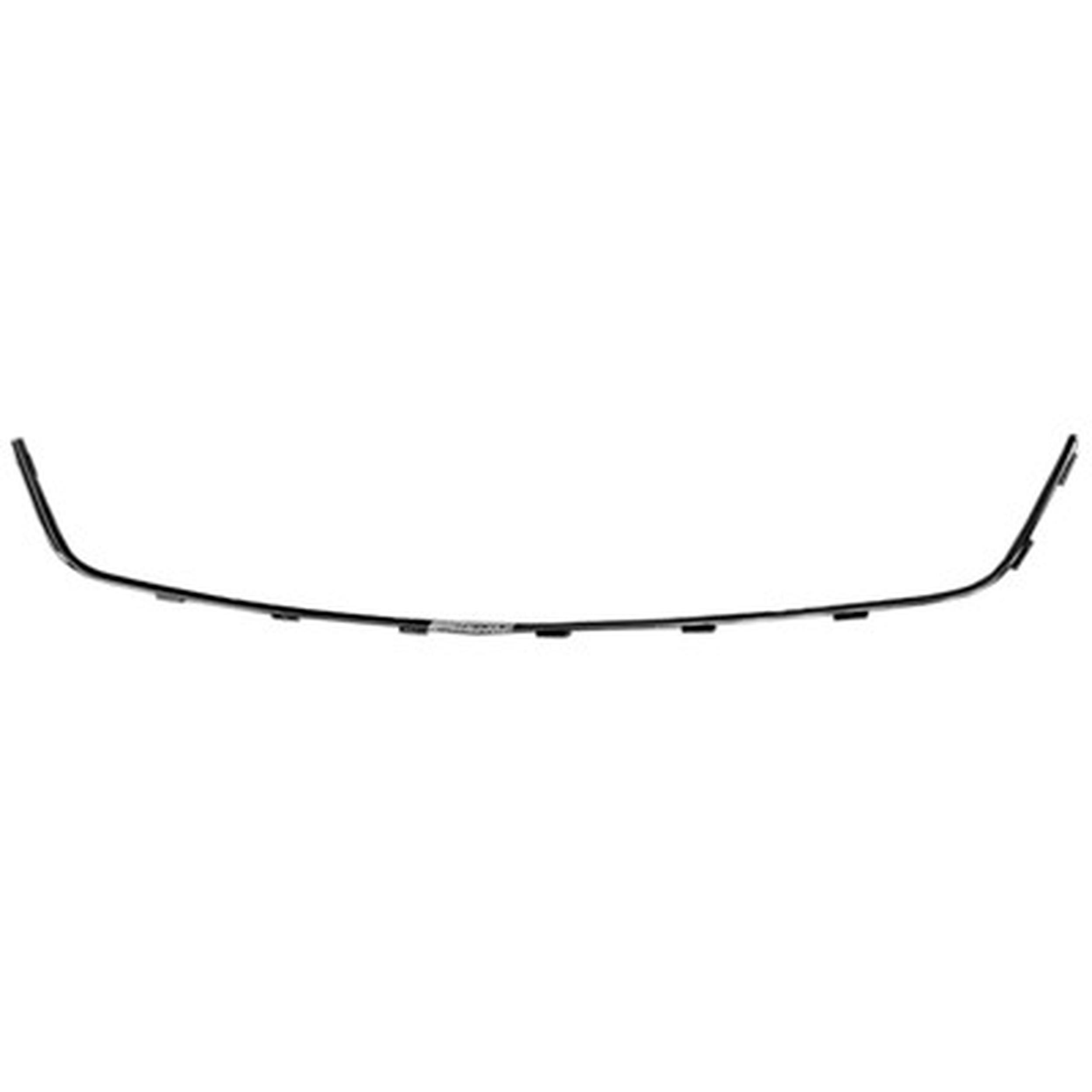 Bumper Insert