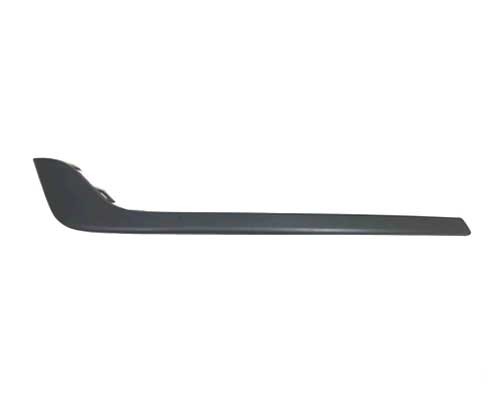 Bumper Cover Molding