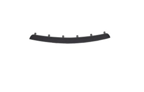 Bumper Cover Molding