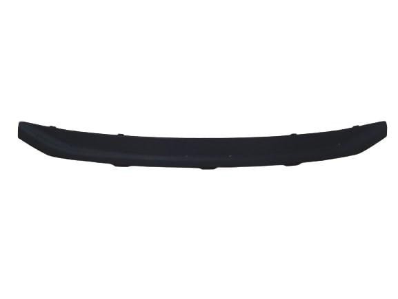 Grille Molding