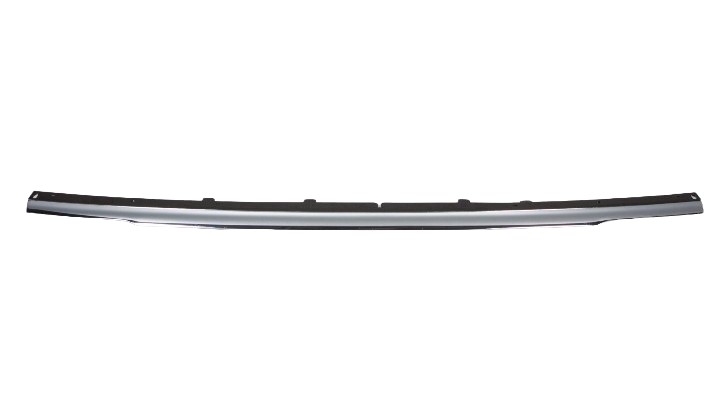 Grille Molding