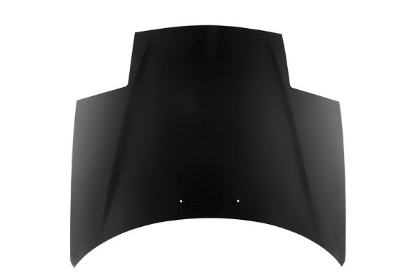 Hood Panel Assembly