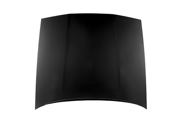 Hood Panel Assembly