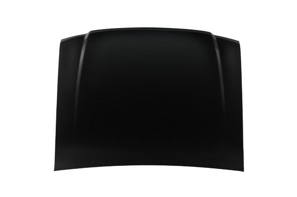 Hood Panel Assembly