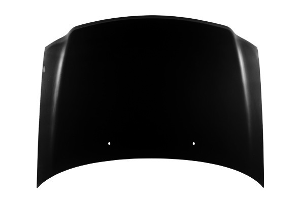 Hood Panel Assembly