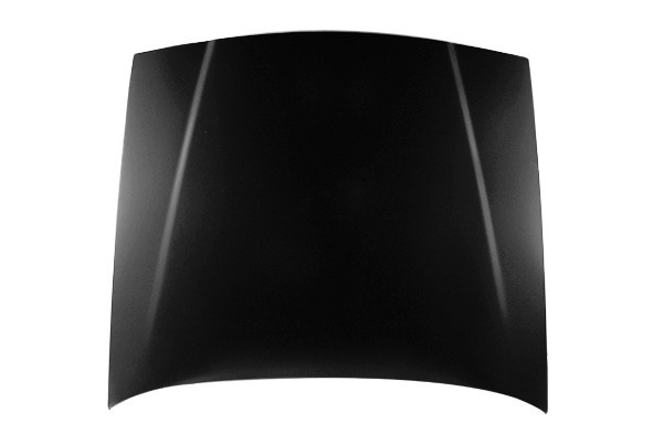 Hood Panel Assembly