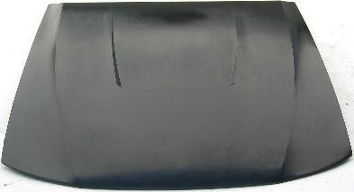 Hood Panel Assembly