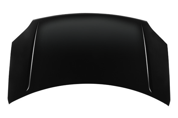 Hood Panel Assembly
