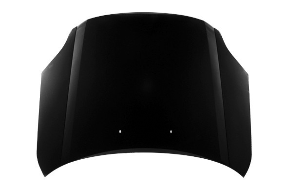 Hood Panel Assembly