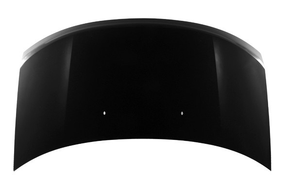 Hood Panel Assembly