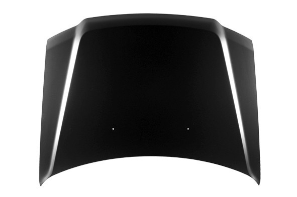 Hood Panel Assembly