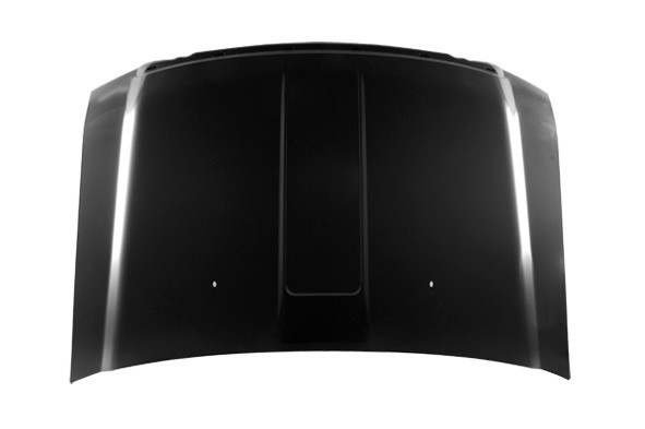 Hood Panel Assembly