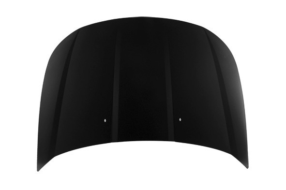 Hood Panel Assembly