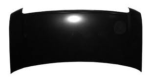 Hood Panel Assembly