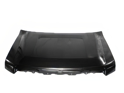 Hood Panel Assembly
