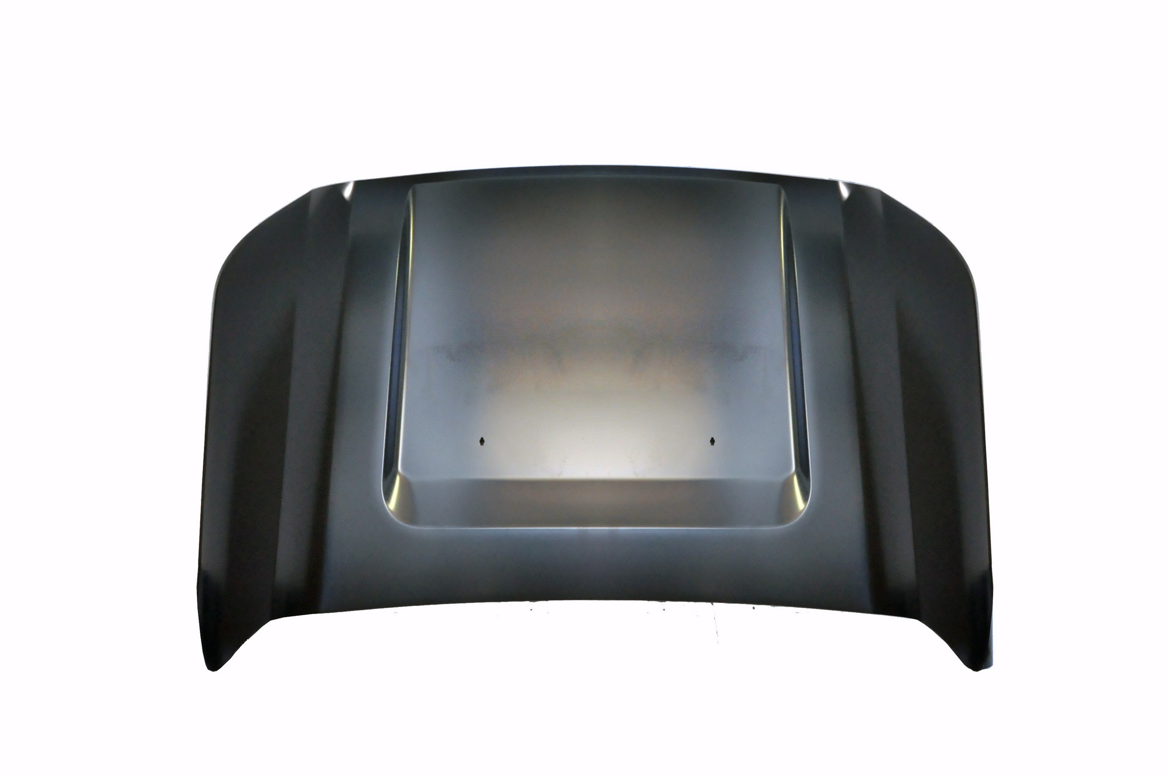Hood Panel Assembly