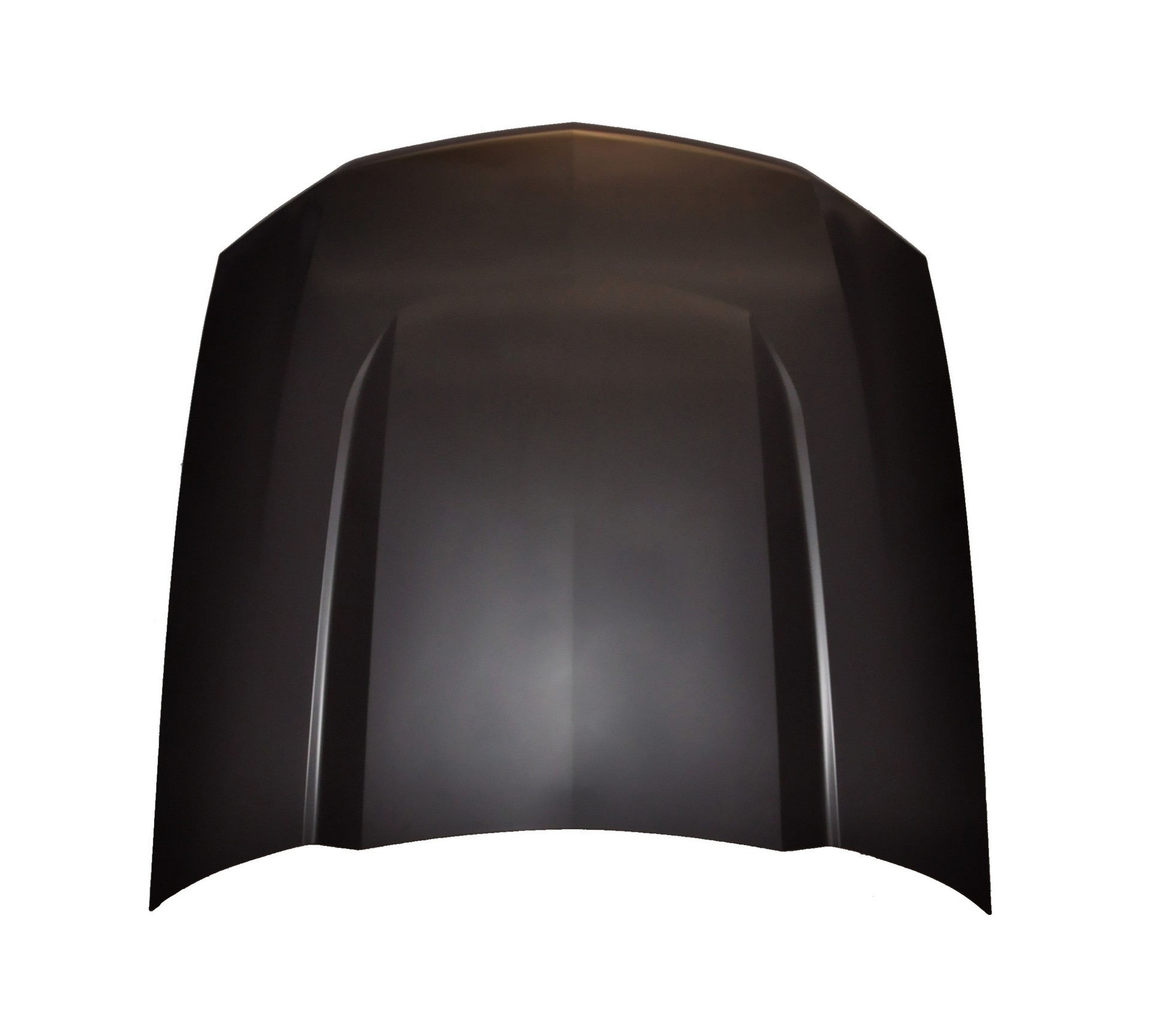 Hood Panel Assembly