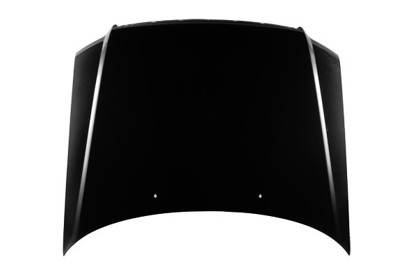 Hood Panel Assembly