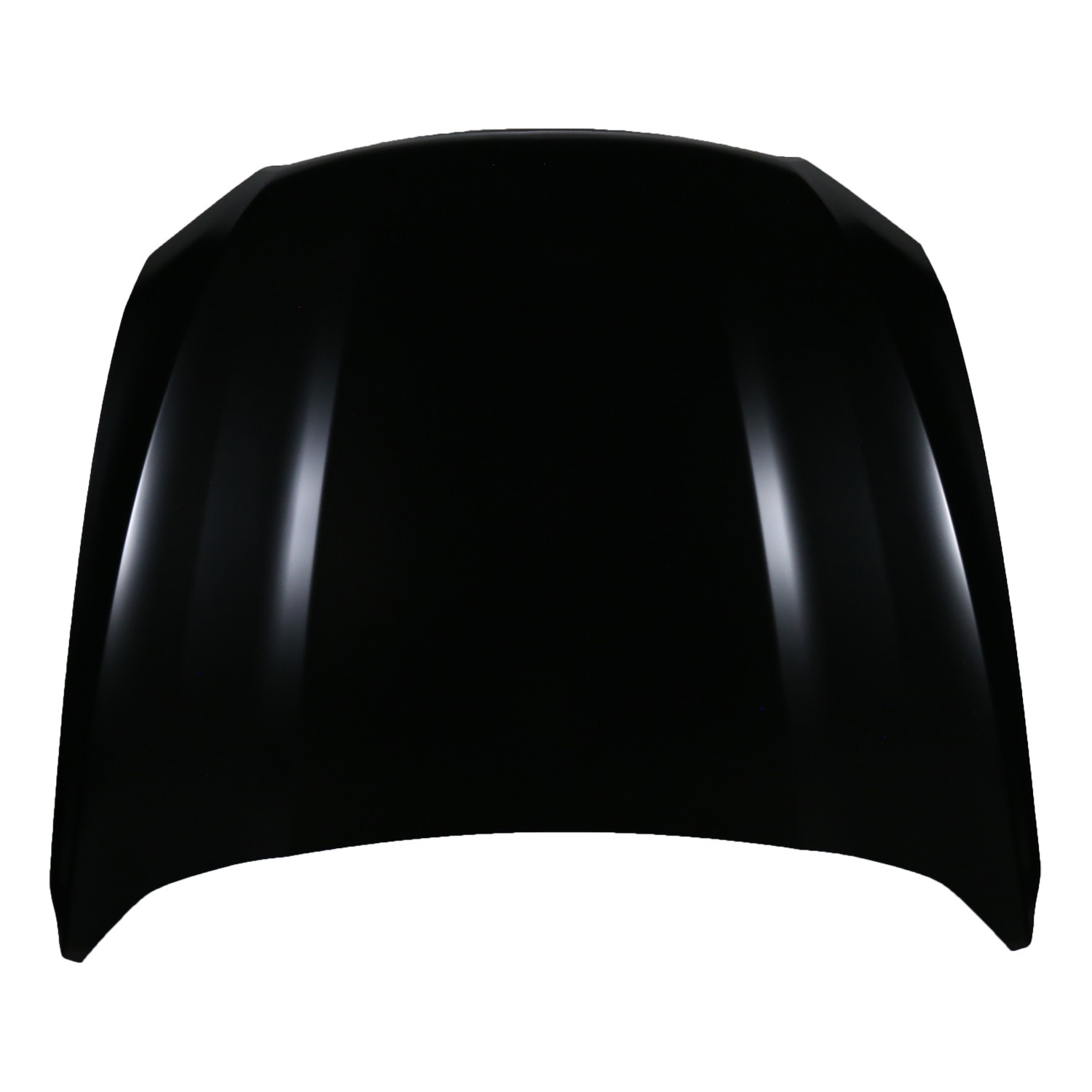 Hood Panel Assembly