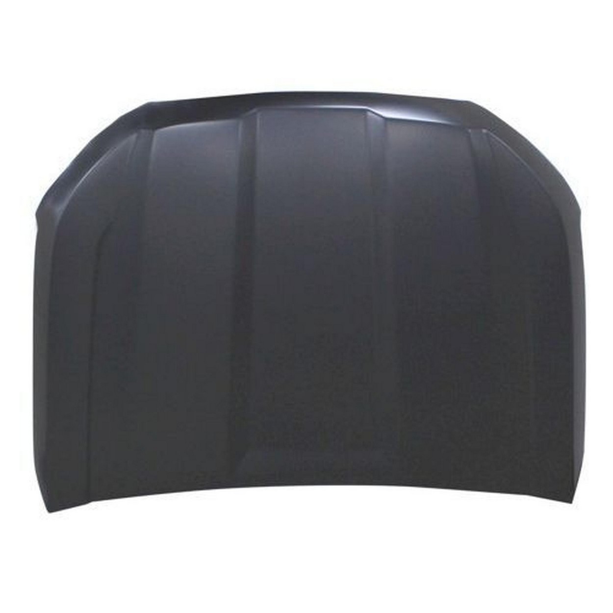 Hood Panel Assembly