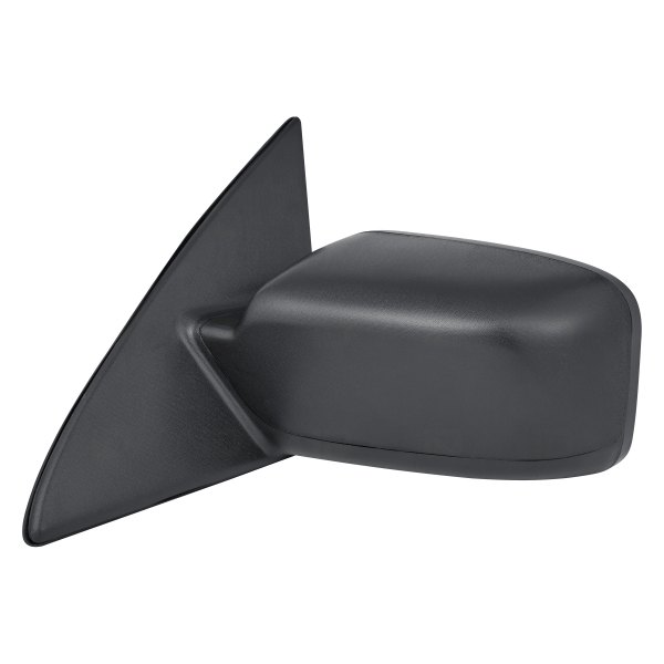 Door Mirror