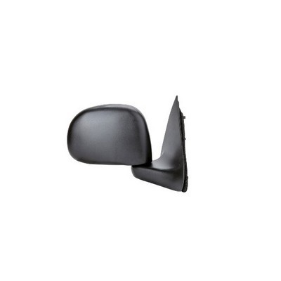 Door Mirror
