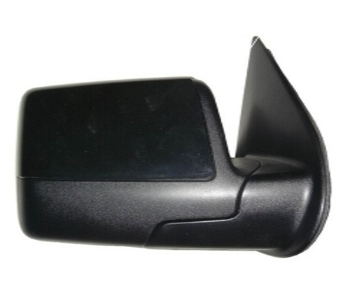 Door Mirror