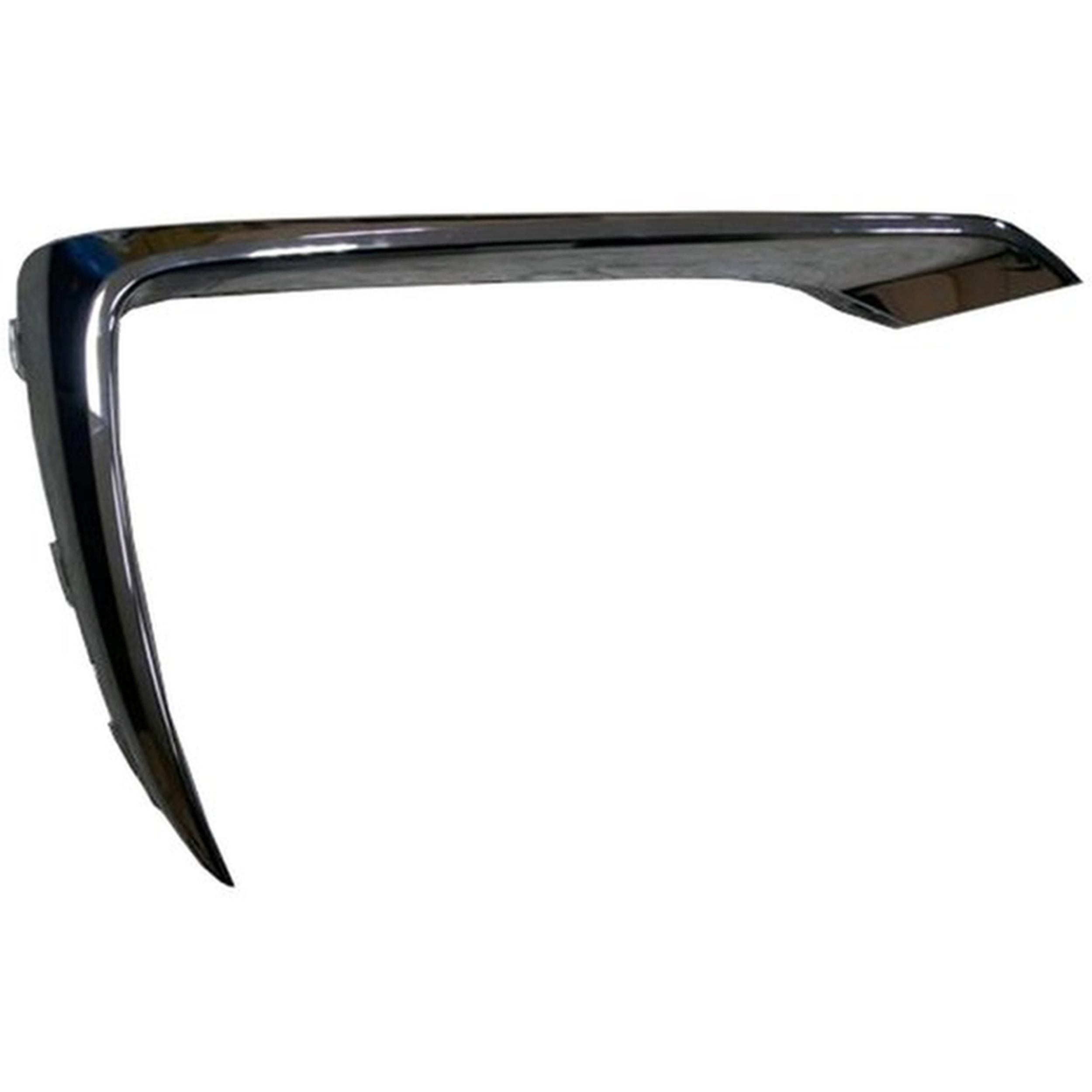 Bumper Cover Molding