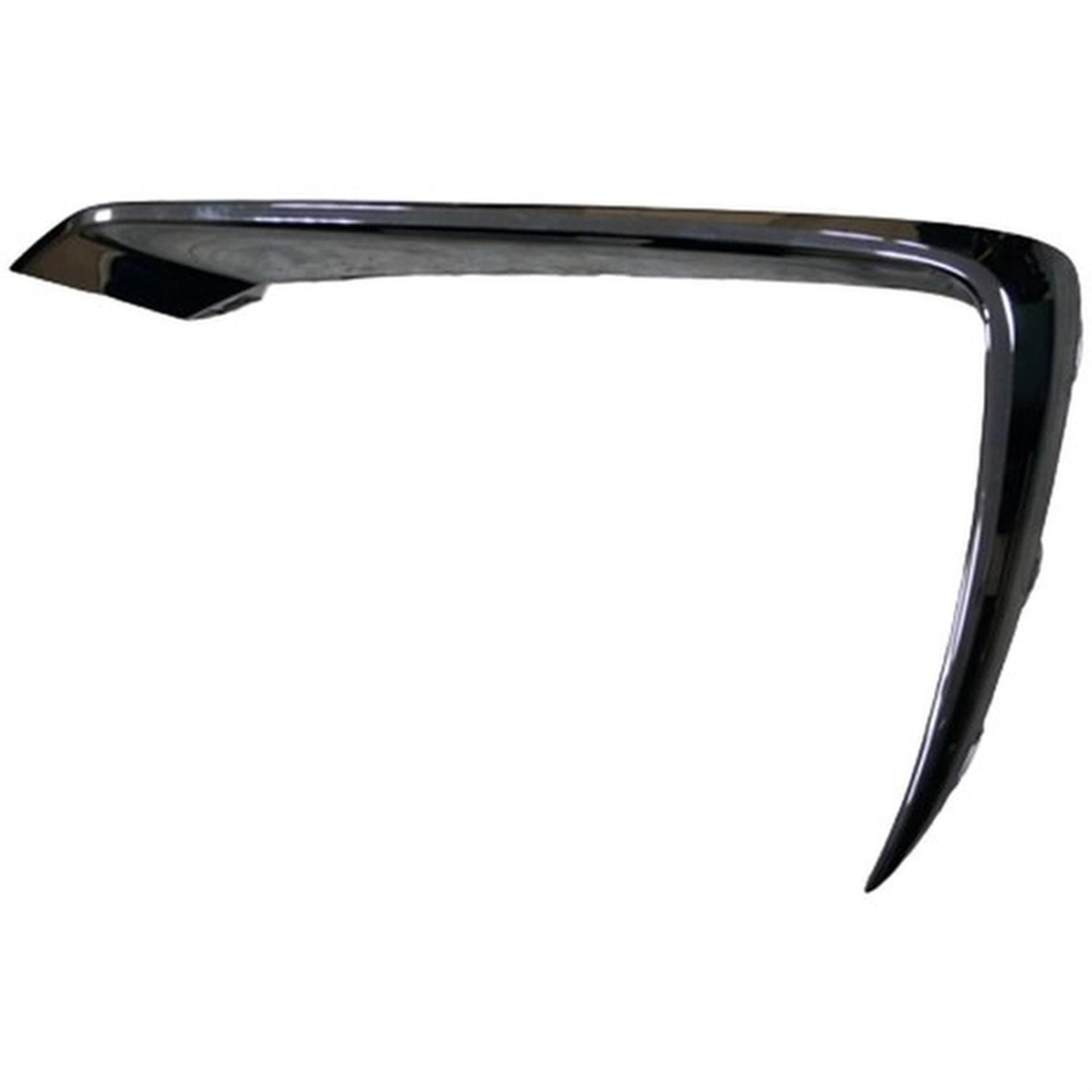 Bumper Cover Molding