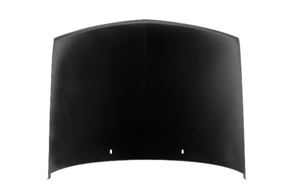 Hood Panel Assembly
