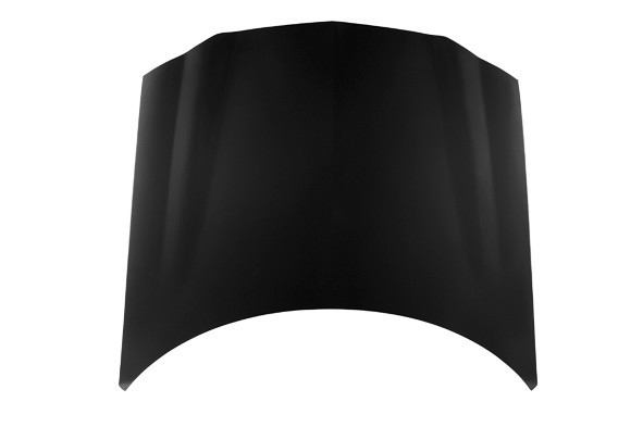 Hood Panel Assembly